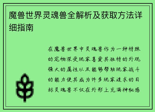 魔兽世界灵魂兽全解析及获取方法详细指南
